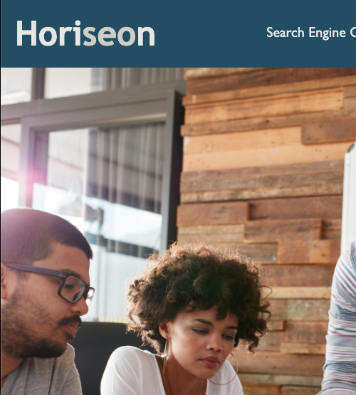 Horiseon website